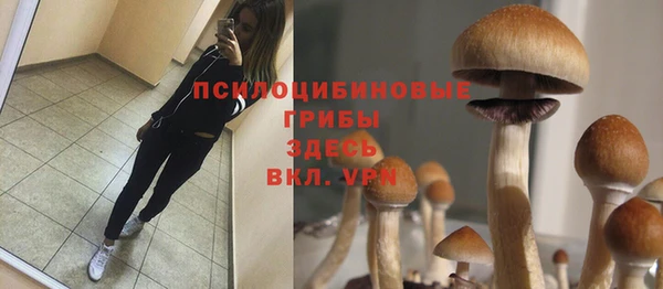 мяу мяу кристалл Магас