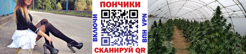 Каннабис Ganja  как найти   Нижняя Тура 